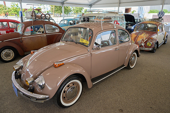Bugs_2024_28