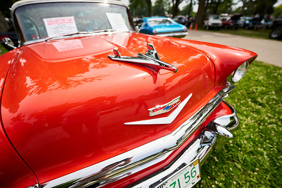 Cars_Fest-43