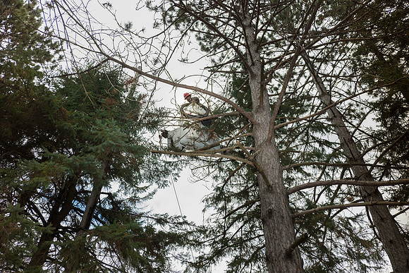 72dpi_16-042_282