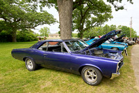 Cars_Fest-06