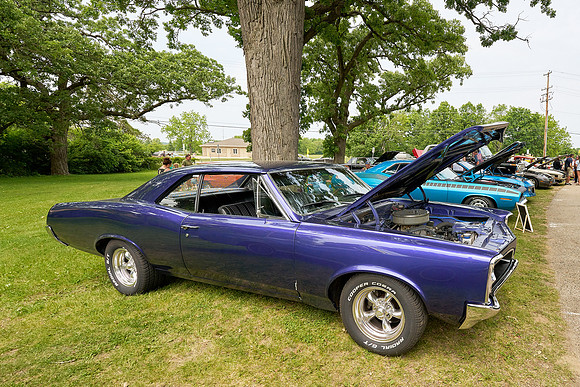 Cars_Fest-06