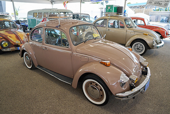 Bugs_2024_15