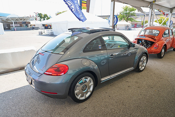Bugs_2024_20