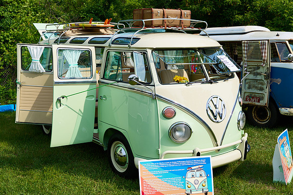 Bugs_2025-1_27